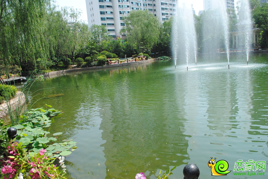 恒大名都園林實(shí)景（2016.6.21）