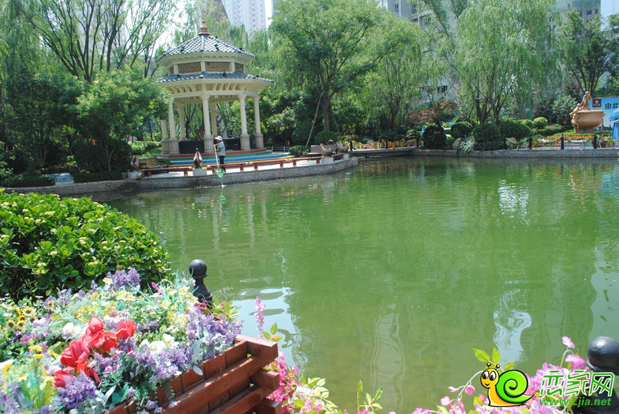 恒大名都園林實(shí)景（2016.6.21）