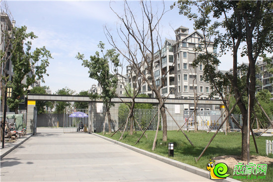 趙都華府園林綠化實(shí)景圖