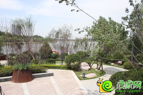 小區(qū)綠化內(nèi)景