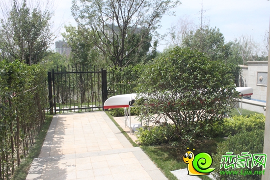 后花園