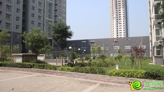 小區(qū)樓間綠化