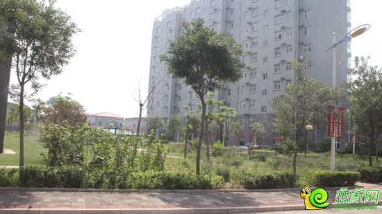 小區(qū)樓前綠化