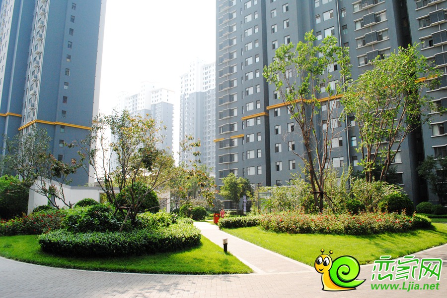 錦繡江南園林實景圖
