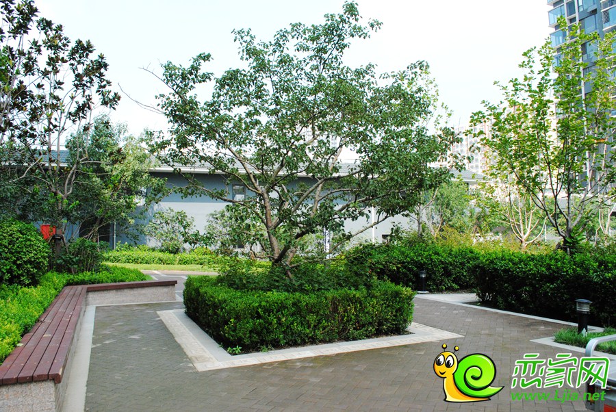 錦繡江南園林實景圖
