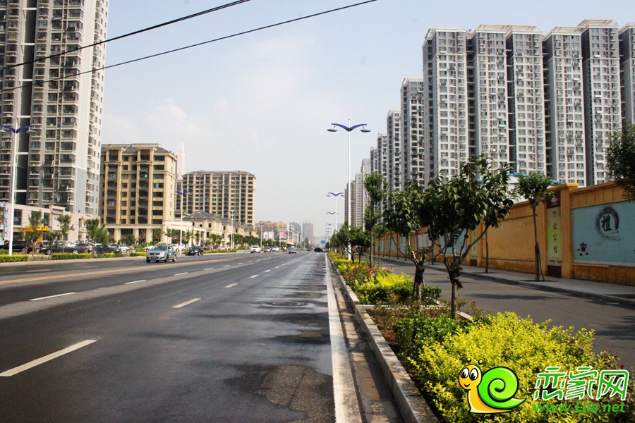 邯鄲市東柳大街實(shí)景圖