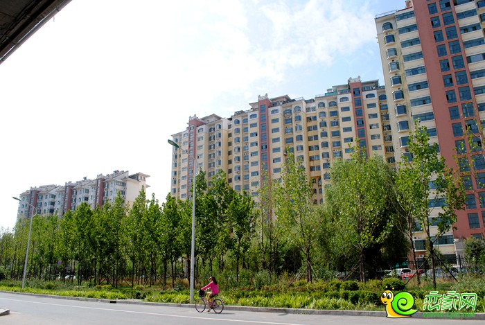 創(chuàng)鑫二期——陽(yáng)光歐尚實(shí)景圖