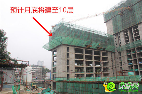 高層樓棟主體部分將至10層