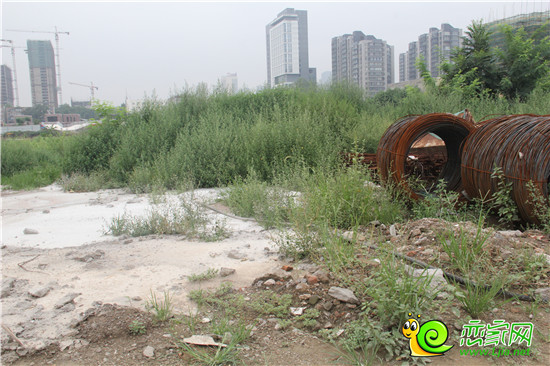 地塊已有電纜埋入 預(yù)計明年初破土動工