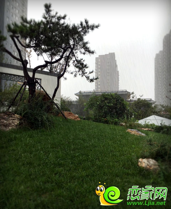 雨中的錦繡江南