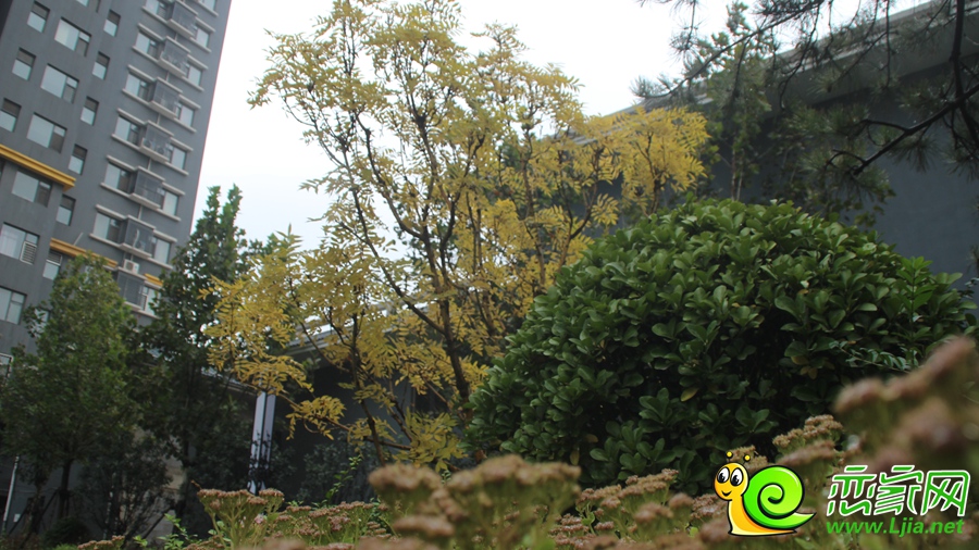 錦繡江南雨景（2016.10.22）