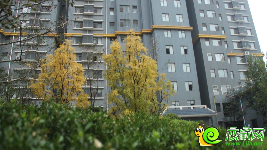 錦繡江南雨景（2016.10.22）