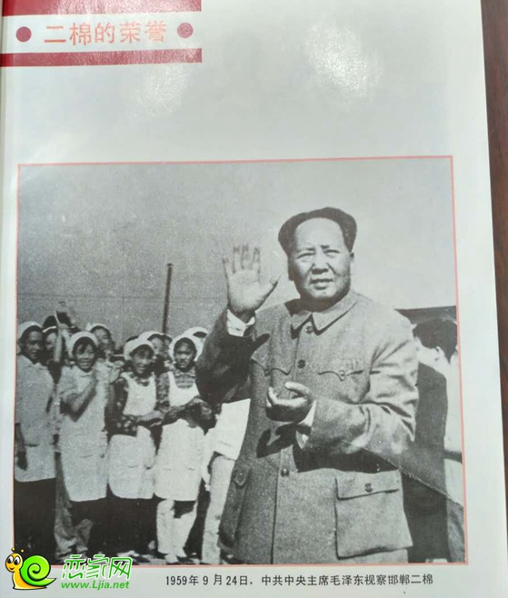 毛澤東主席視察棉二