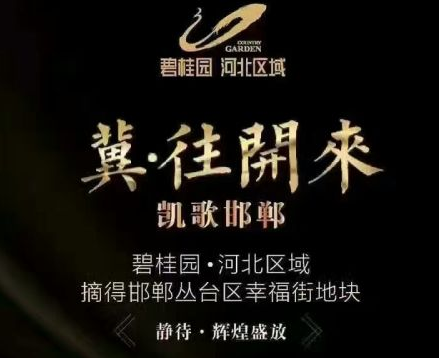 碧桂園在聯(lián)紡路拿地