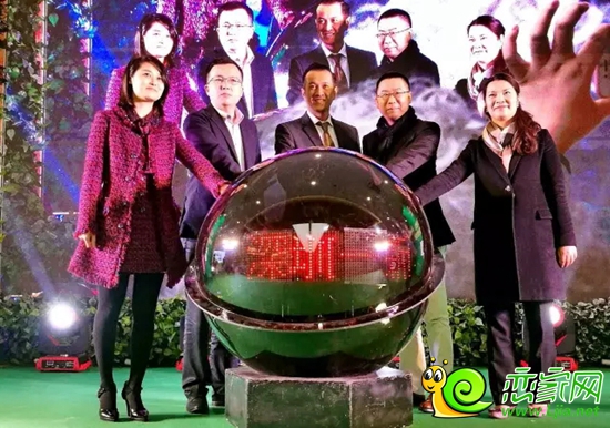 碧桂園森林城市