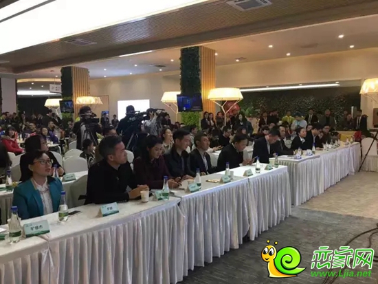 碧桂園森林城市