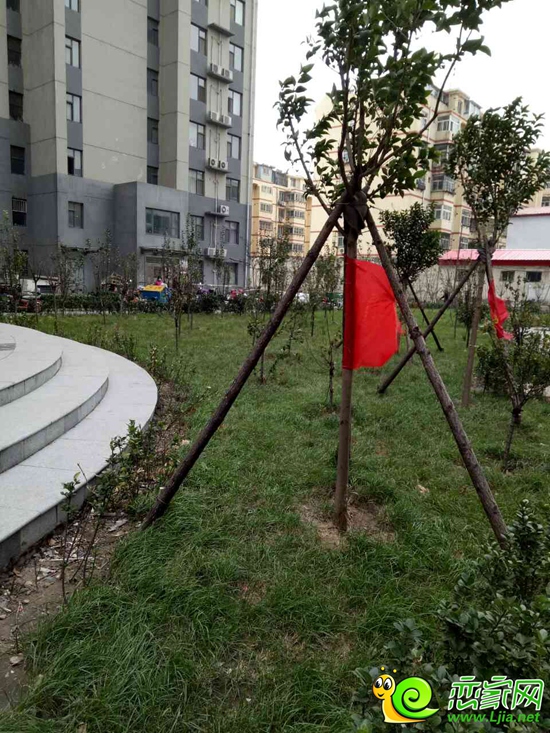慧谷-鼎盛苑園林