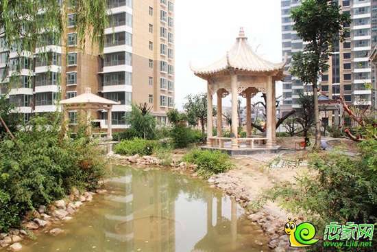 漢成華都園林實景