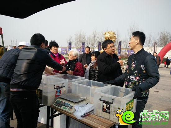 文江同到場(chǎng)的顧客商討商品信息