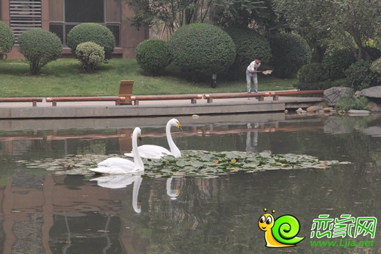 美的城的園林內(nèi)湖