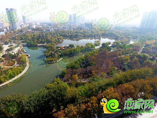 航拍下的滏陽公園