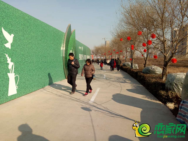 去往售樓部的小路