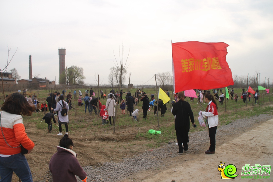 3.12大型植樹活動