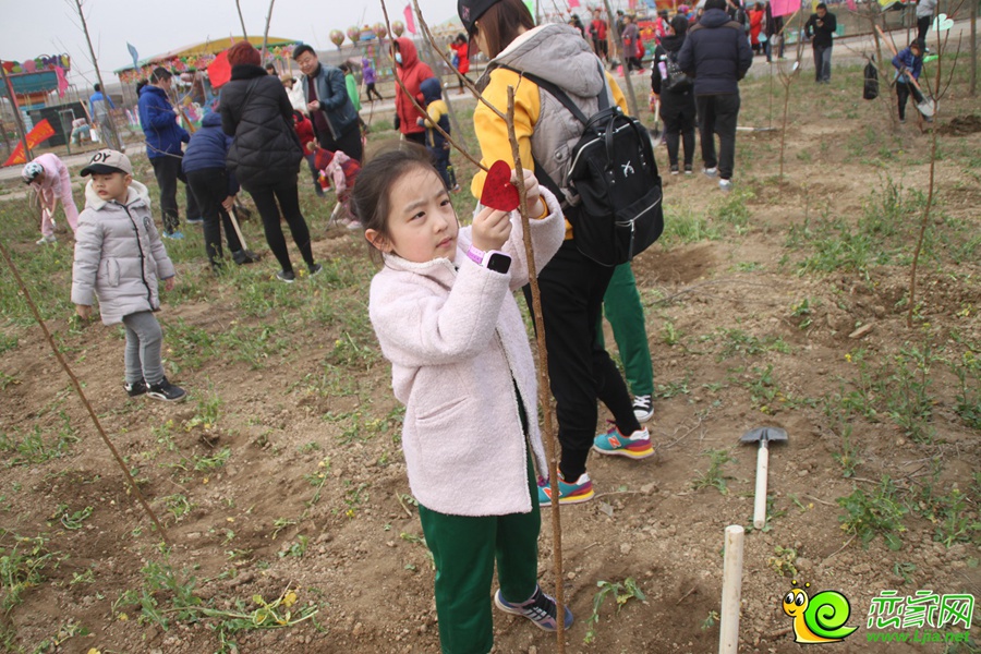 3.12大型植樹活動