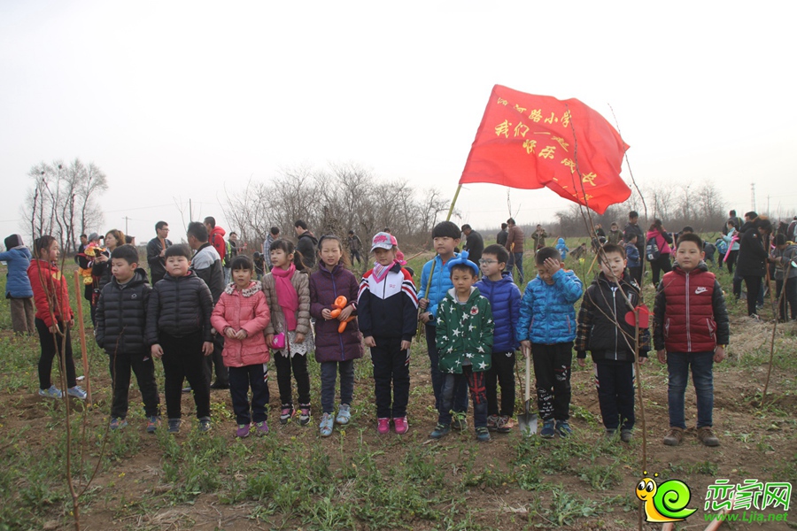 3.12大型植樹活動