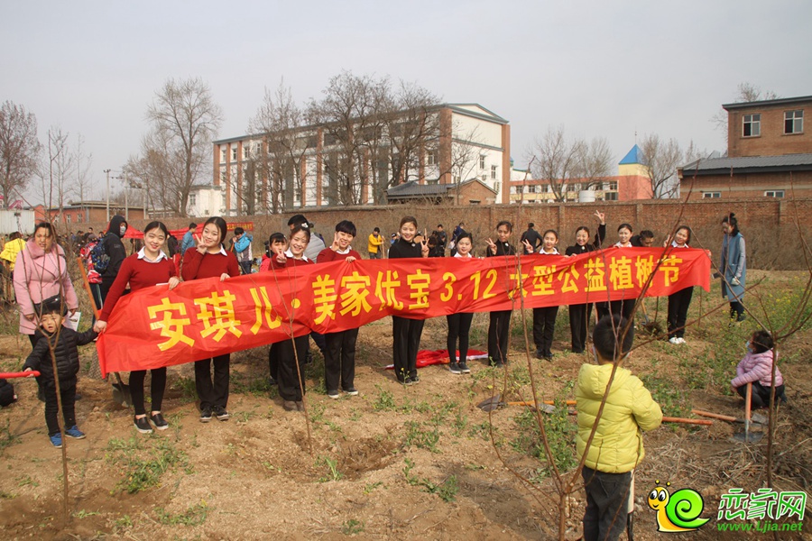 3.12大型植樹活動