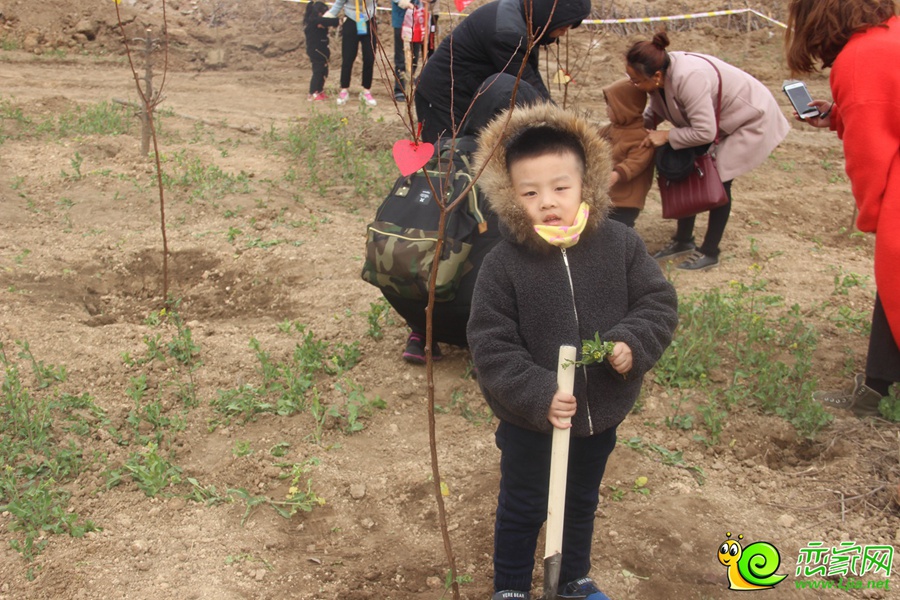 3.12大型植樹活動