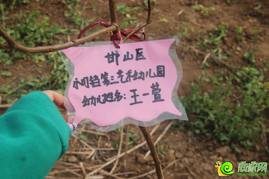3.12大型植樹活動