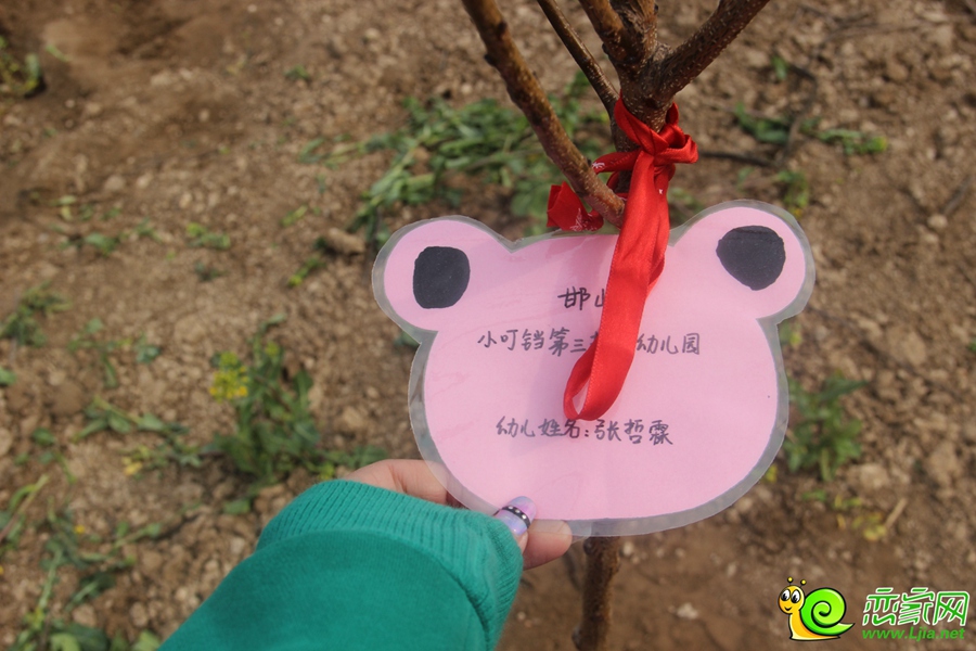 3.12大型植樹活動