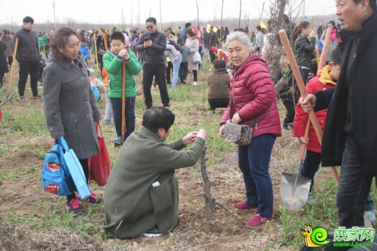 進(jìn)行植樹的家庭