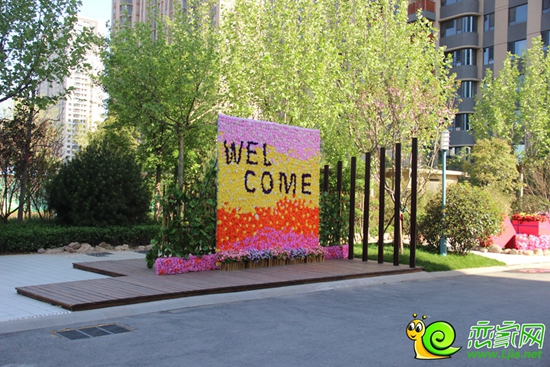 welcome花墻