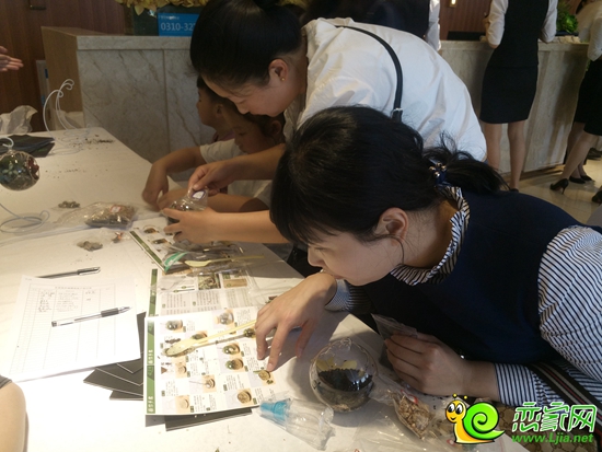 正在進(jìn)行微景觀制作的到訪者