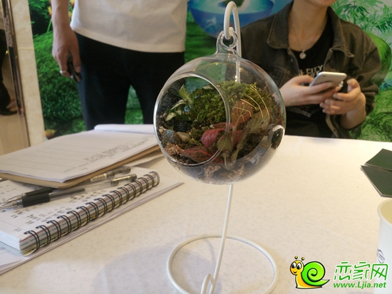 制作完成的微景觀
