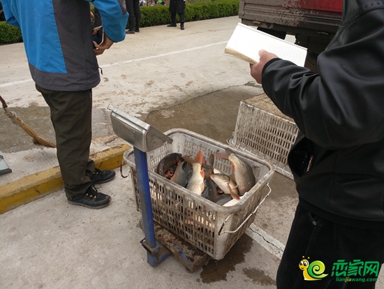 魚正在過秤