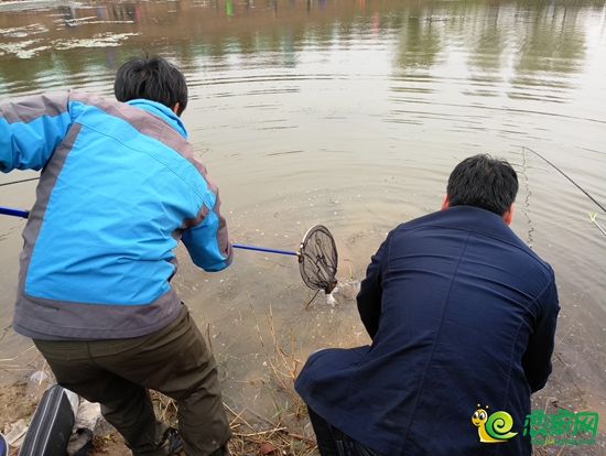 放魚入水