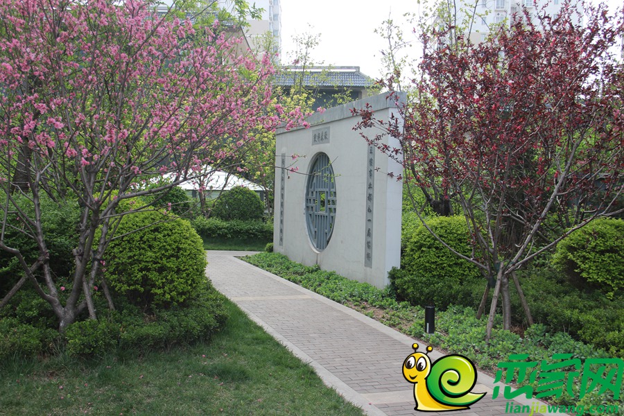 錦繡江南園林景觀（2017.4.11）