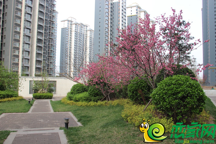 錦繡江南園林景觀（2017.4.11）