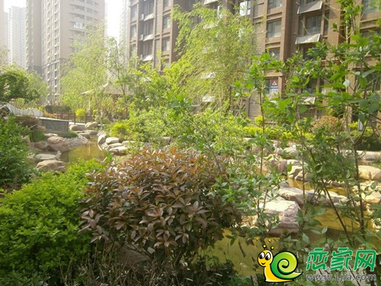 阿爾卡迪亞園林實景