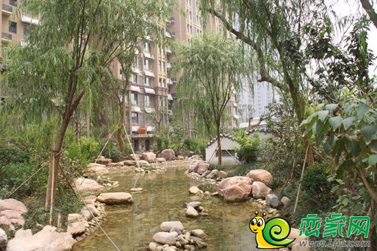 阿爾卡迪亞園林實景