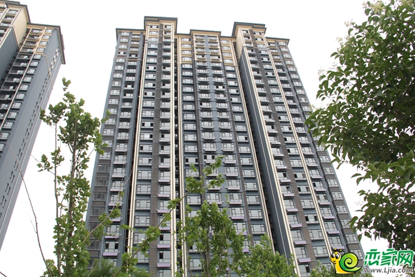 北湖十六峯8號(hào)樓實(shí)景圖