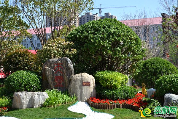 碧桂園天璽園林實景圖