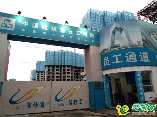碧桂園天璽工地實景圖