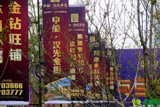 漢光華府金鋪