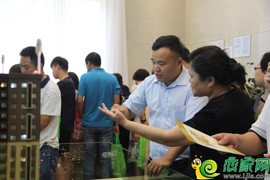 與置業(yè)顧問討論項目