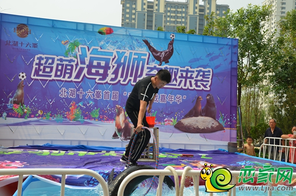 海獅躍龍門