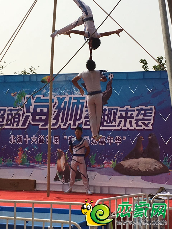 精彩的雜技表演